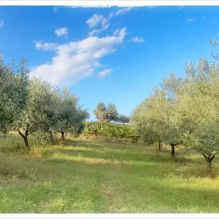 La Fonte E L Ulivo Ripatransone