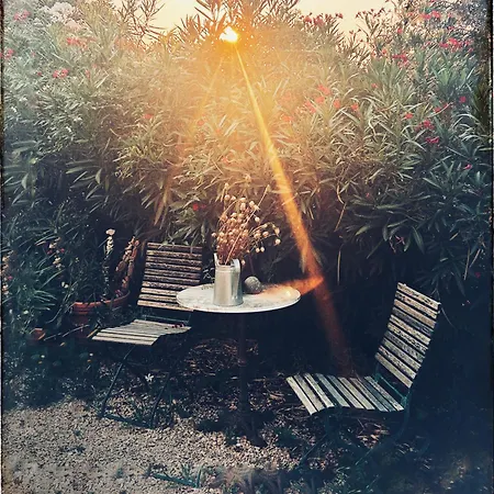 Bed & Breakfast La Fonte E L Ulivo