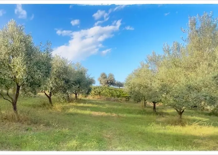 La Fonte E L Ulivo Ripatransone