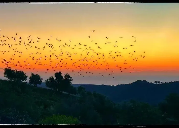 Bed and breakfast La Fonte E L Ulivo