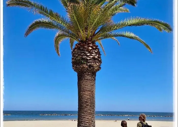 Bed and breakfast La Fonte E L Ulivo *